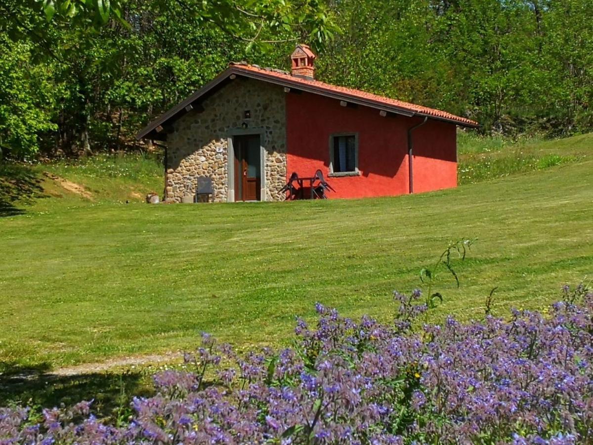 Agriturismo Braccicorti Pieve Fosciana Exteriör bild