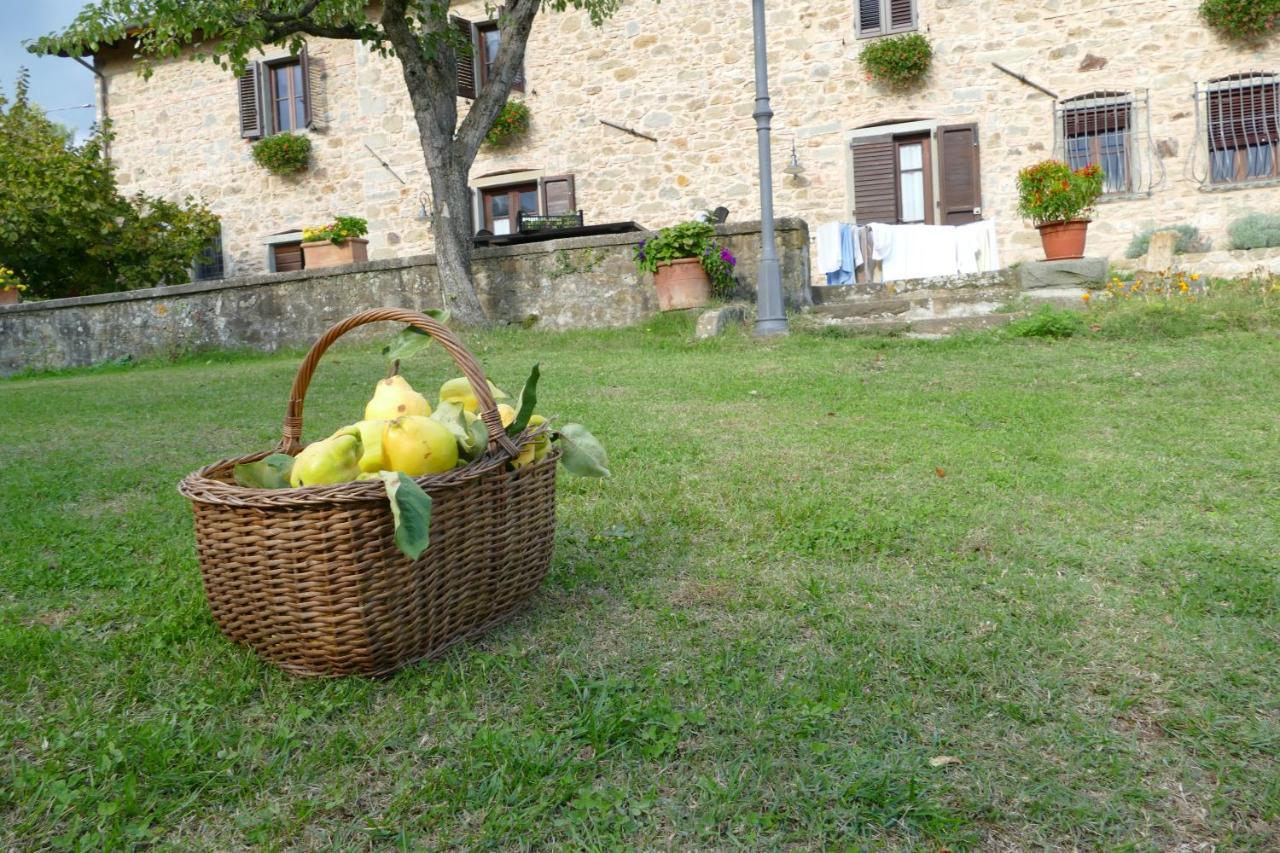 Agriturismo Braccicorti Pieve Fosciana Exteriör bild