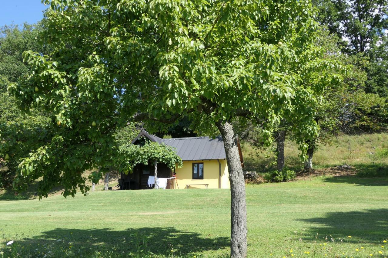 Agriturismo Braccicorti Pieve Fosciana Exteriör bild
