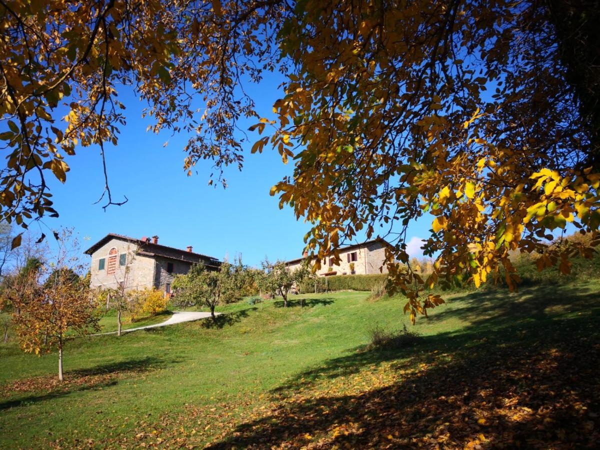 Agriturismo Braccicorti Pieve Fosciana Exteriör bild