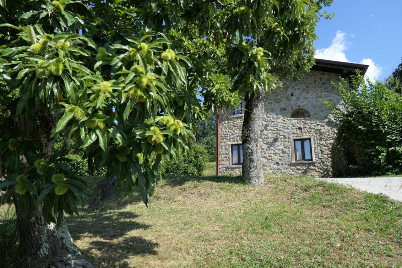 Agriturismo Braccicorti Pieve Fosciana Exteriör bild
