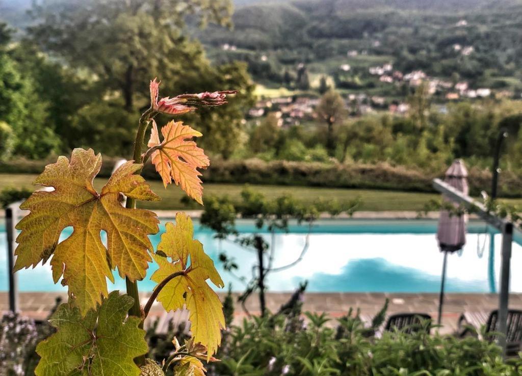 Agriturismo Braccicorti Pieve Fosciana Exteriör bild