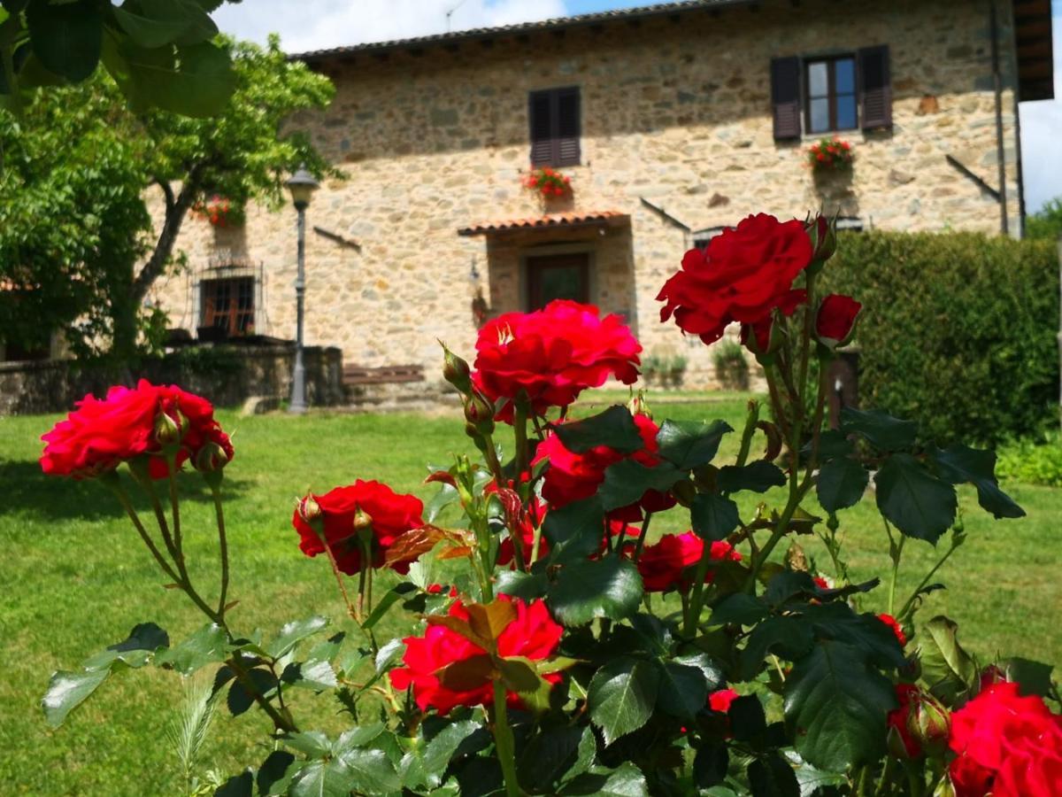 Agriturismo Braccicorti Pieve Fosciana Exteriör bild