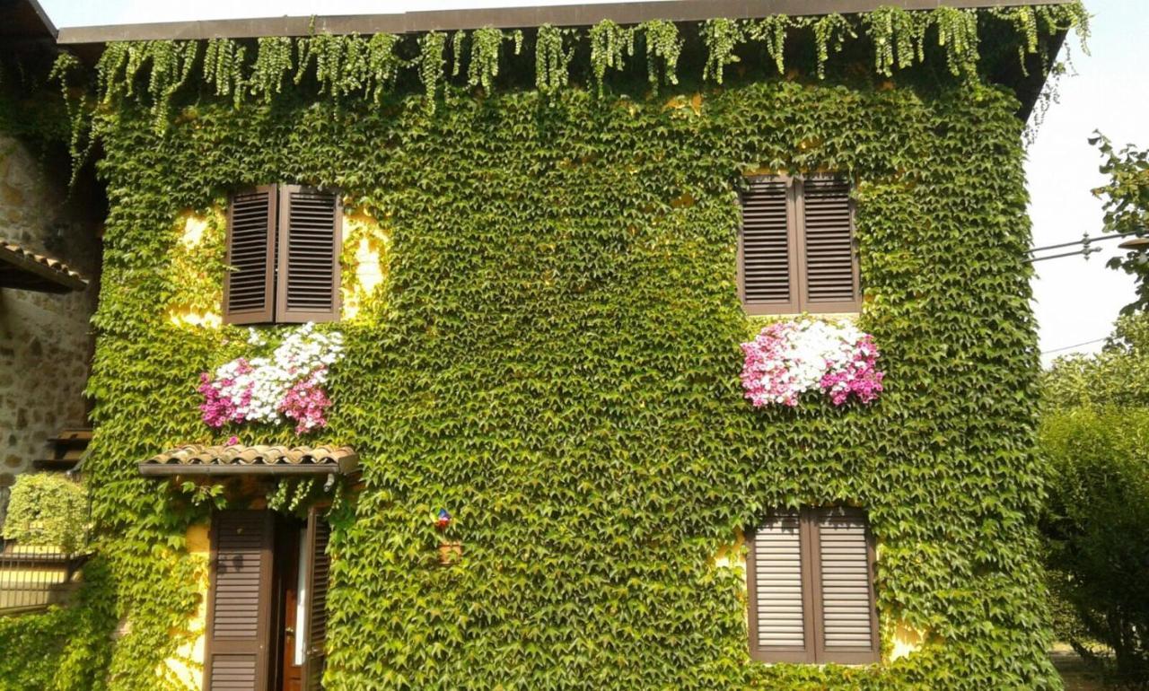Agriturismo Braccicorti Pieve Fosciana Exteriör bild