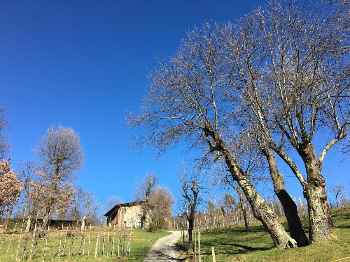 Agriturismo Braccicorti Pieve Fosciana Exteriör bild
